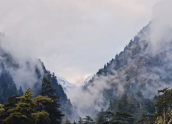 Harsil valley near gartang gali