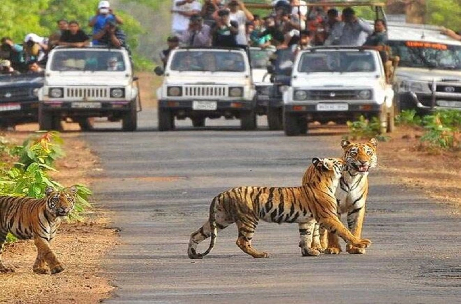 Jim corbett national park beautiful view