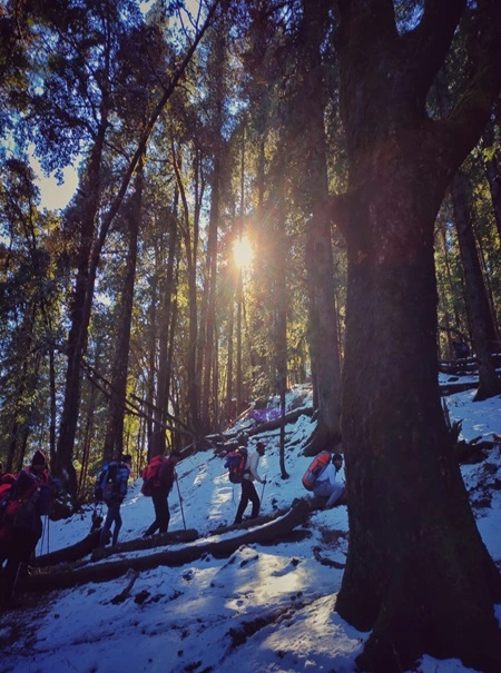 A view of trekking in dayara bugyal trek