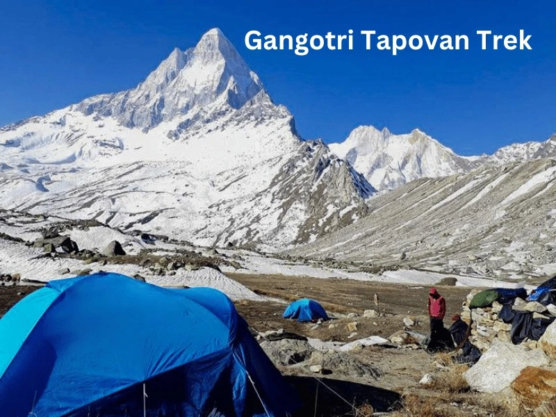 Our camping location on Gaumukh Tapovan trekking route