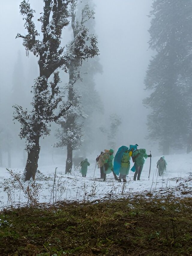 Kedarkantha Trek