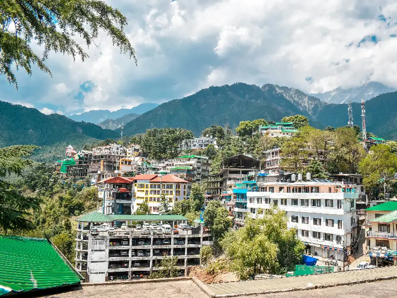 Best Treks Near McLeodganj: Short Guide 