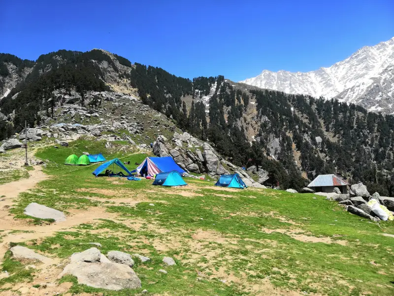 Best Treks Near McLeodganj: Short Guide  Triund Trek